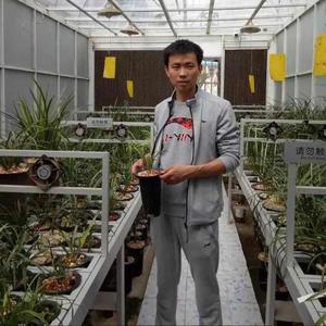 长沙兰花世家头像