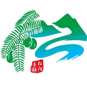 松阳香榧头像