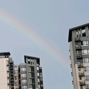 彩虹是生活的礼物头像