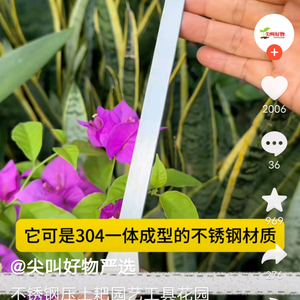 小时头像