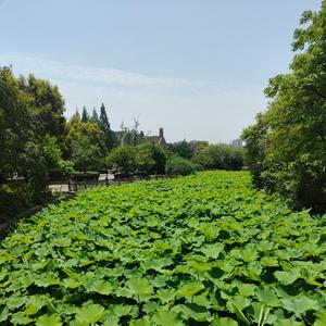 谦亿头像