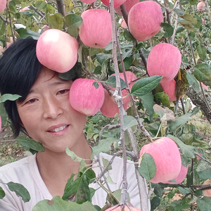 农女香香头像
