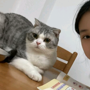 志高爱熊宝头像