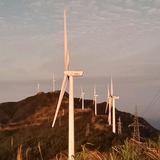 江夏堂艺头像