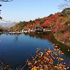 画云123头像