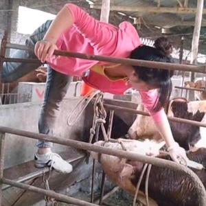 养牛小妹在四川射洪头像