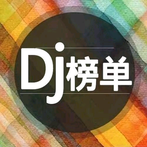 榜单dj（车载优盘）头像