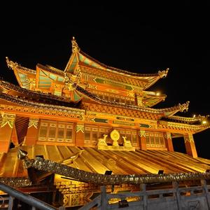 橙子有点儿大头像