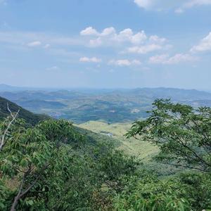 龙凤合家欢头像