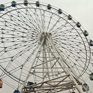 飞旋蒲公英头像