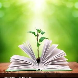橙眉杉头像