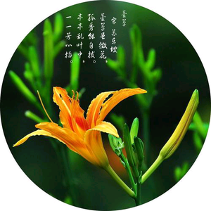 浮生若梦头像