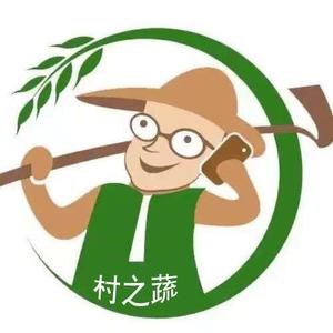 村之蔬农产品甄选头像