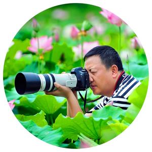 秀山超越哥头像