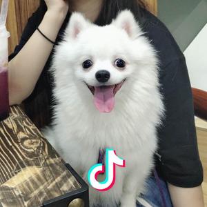 野原美伢头像