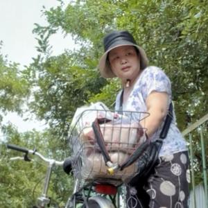 俗人杨姐头像