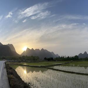 坦荡大花园头像