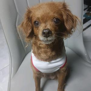 潜水的猫7u5F头像