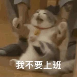 小猪同学想知道头像