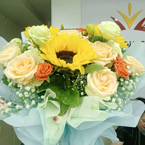 烽企（泸州本地企业咨询）@陈姐头像