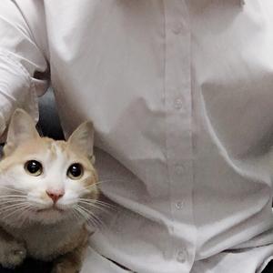 啊肉头像