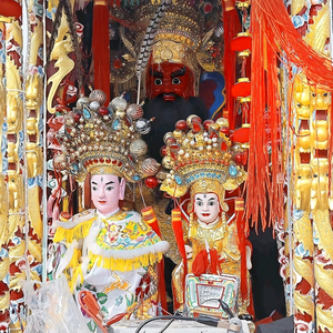 v林头像