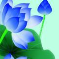 莲花笑笑生头像