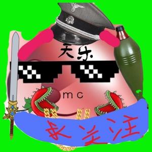 天乐mc暂时退网头像