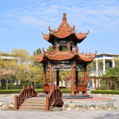 学做真人头像