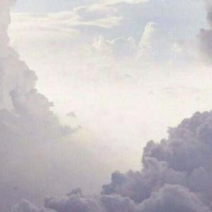 王者小绿茶头像