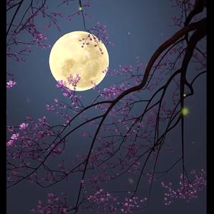 污蔑头像