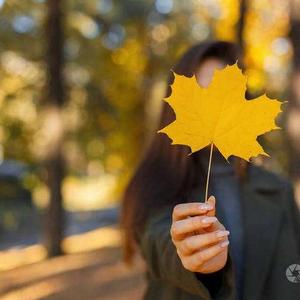 小萍同学分享记头像