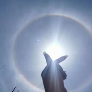 番茄2941919705956388 头像