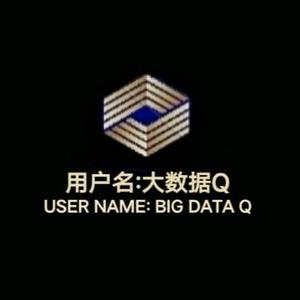 大数据生活号头像