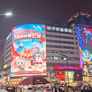 531h2025头像