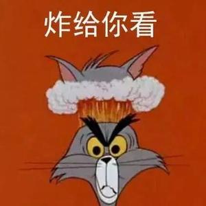 王潘妮头像
