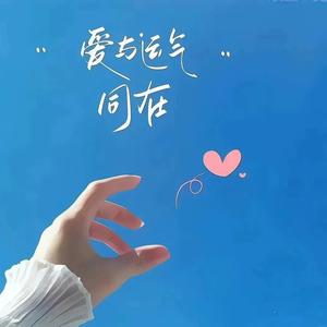 爱洋芋的猫头像