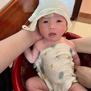 施施哈哈头像