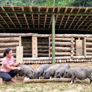 荒野浪子纪实头像