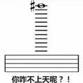 坑爹豇豆的生活记录头像