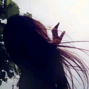 钃鑯精选商行头像
