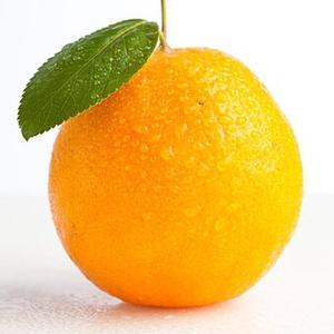 橙子微信头像水果图片