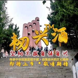 韧兴酒中国正能量中高端品牌头像