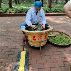 茶小渔头像