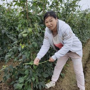 和公婆在农村生活的日子头像