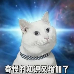 冰子h头像