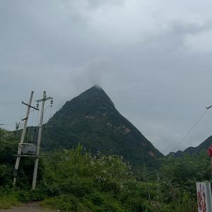 传统文化与农家乐一体头像