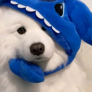 湳浔湳浔真难寻头像