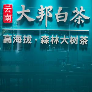 大邦白茶头像