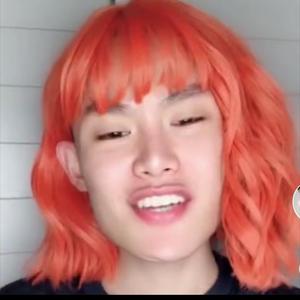 毛毛姐精选好物头像